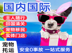 扬州机场邮寄国际宠物托运 【国